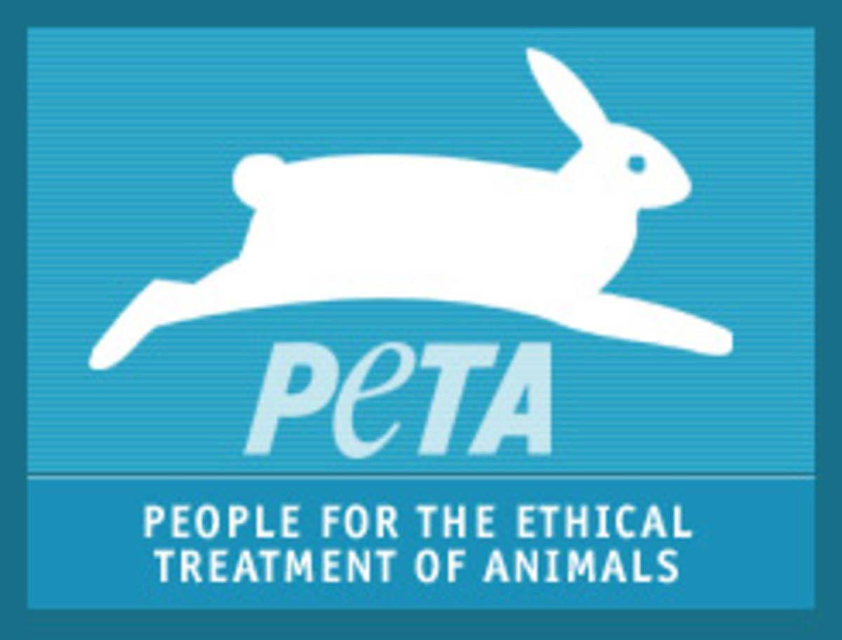 Peta Logo LogoDix