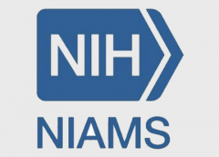 Niams Logo - All NIAMS News