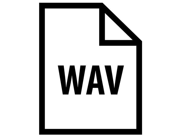 WAV Logo - WAV and Tagging. HFA Independent Source for Audio Equipment