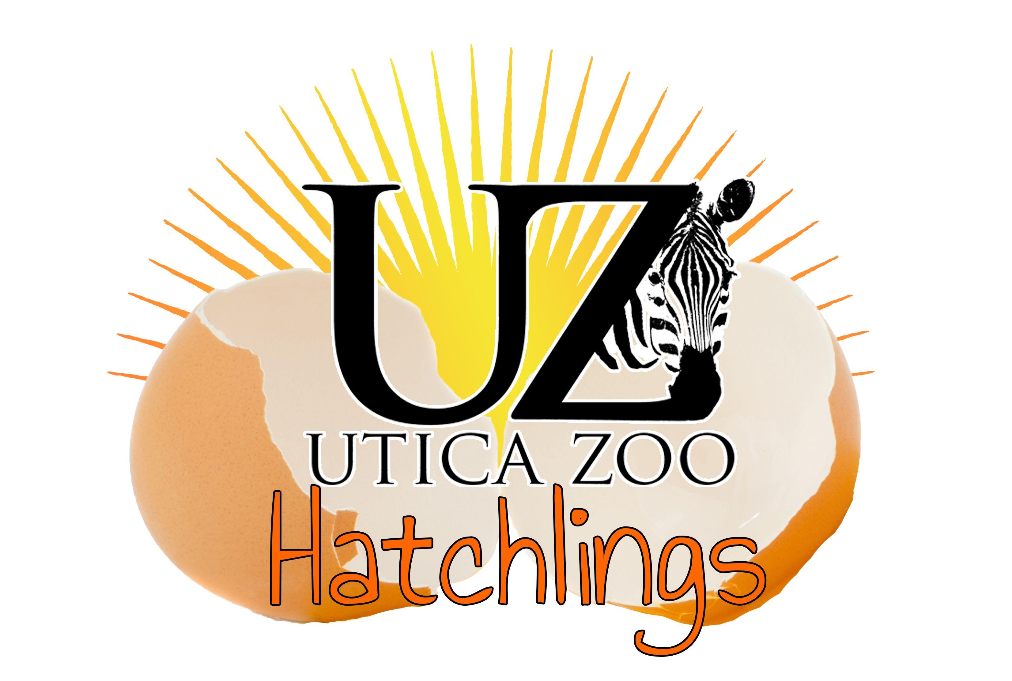Utica Logo - Hatchlings Logo | Utica Zoo