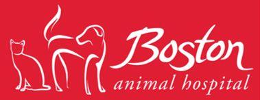 Bah Logo - bah-logo-horizontal | Boston Animal Hospital