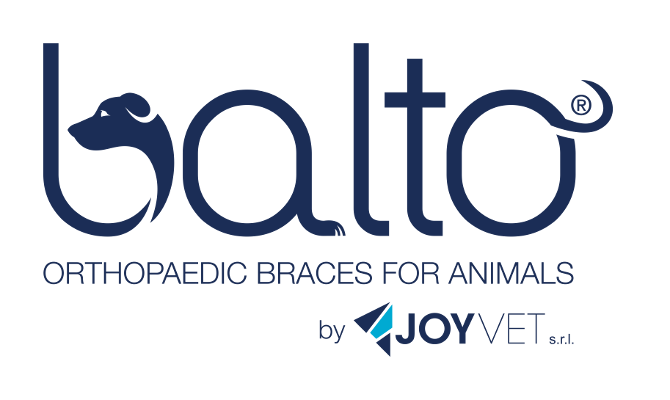 Balto Logo - Why Balto? - Balto Dog Brace - USA