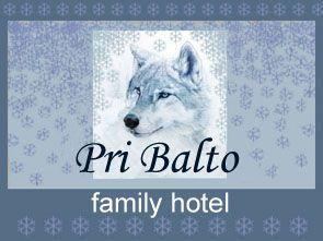 Balto Logo - Family Hotel Pri Balto