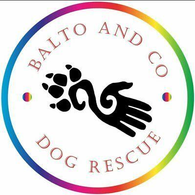 Balto Logo - Balto & Co | eBay for Charity