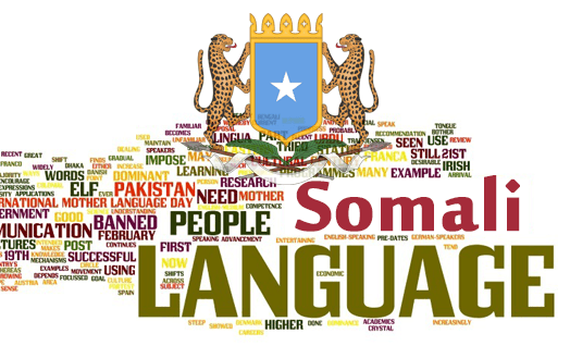 Somali Logo - 45th Anniversary of the Somali Language