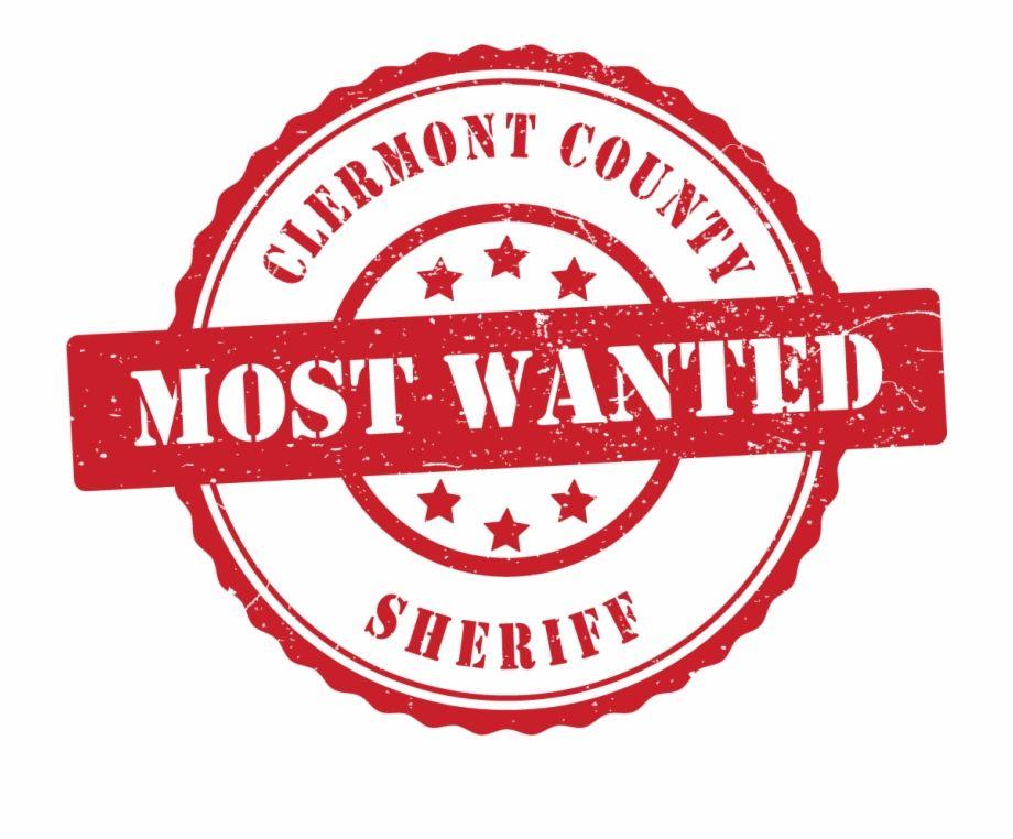Wanted Logo - Most Wanted Graphic Logo - One Year Warranty, Transparent Png ...