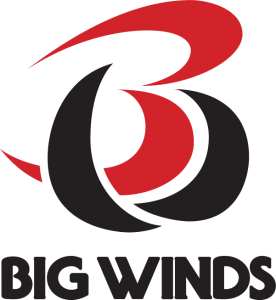 B.I.g Logo - Logo Design | Pageworks