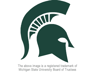 Helmet Logo - Michigan State Logo | Logos Used on MSU Football Jerseys & Helmets