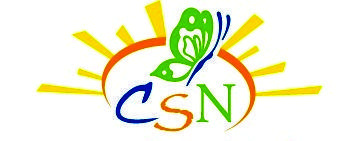 CSN Logo - CSN Color Logo 2010 SUN ONLY FINAL_1 Community Support Network