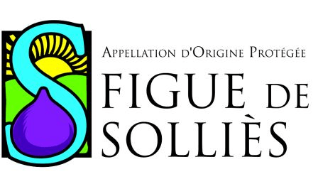 Figue Logo - Le site du Syndicat de Défense de la Figue de Solliès