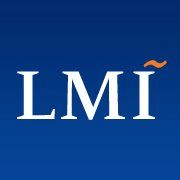LMI Logo - LMI Employee Benefits and Perks