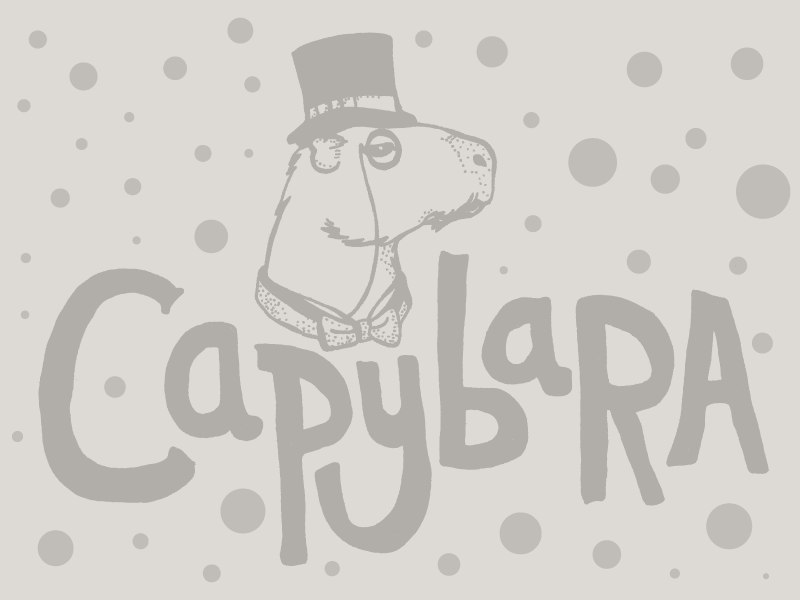 Capybara Logo - Capybara - Logo by Felipe Bizzi | Dribbble | Dribbble