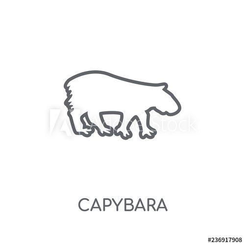 Capybara Logo - Capybara linear icon. Modern outline Capybara logo concept on white ...