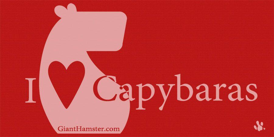 Capybara Logo - logo « Capybara Madness