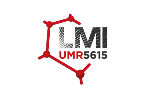 LMI Logo - LMI | Axel'One