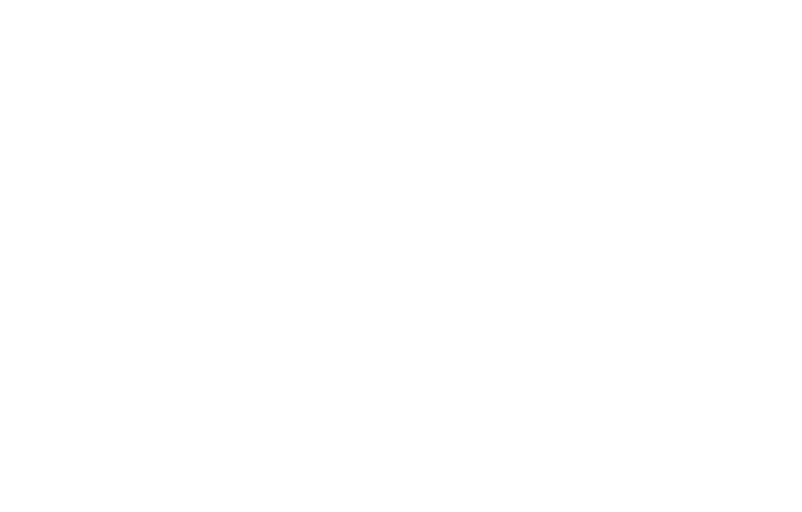 LMI Logo - Local Marketing - Digital Marketing for Automotive Dealerships ...
