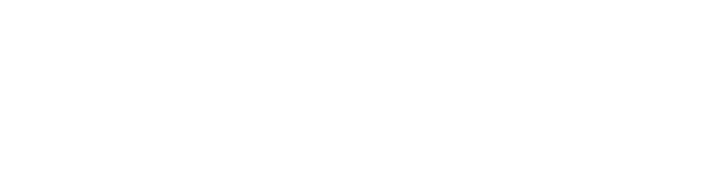 DNS Logo - Company | DNS Made Easy