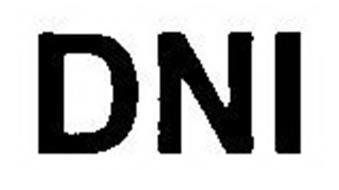 Dni Logo - DNI Trademark of Dainese S.p.A. Serial Number: 79027796 ...