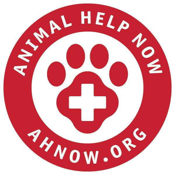 HelpNow Logo - Media - Animal Help Now: Emergency Resource