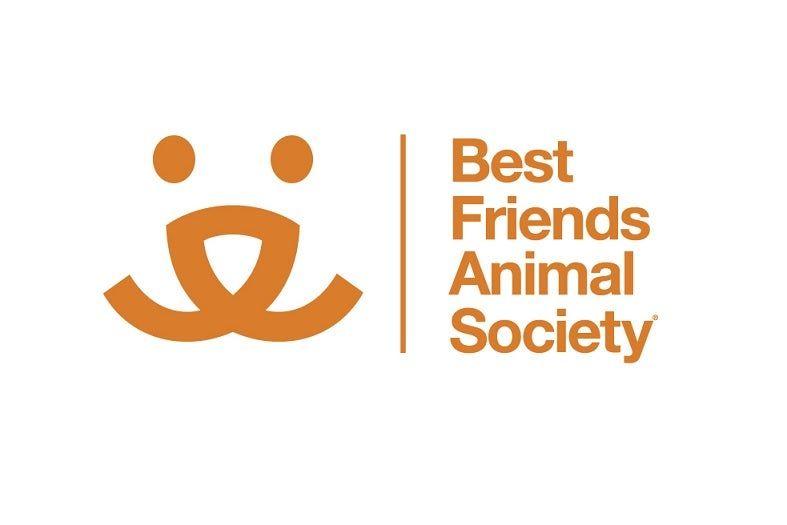 Shelter Logo - This animal shelter logo : DesignPorn
