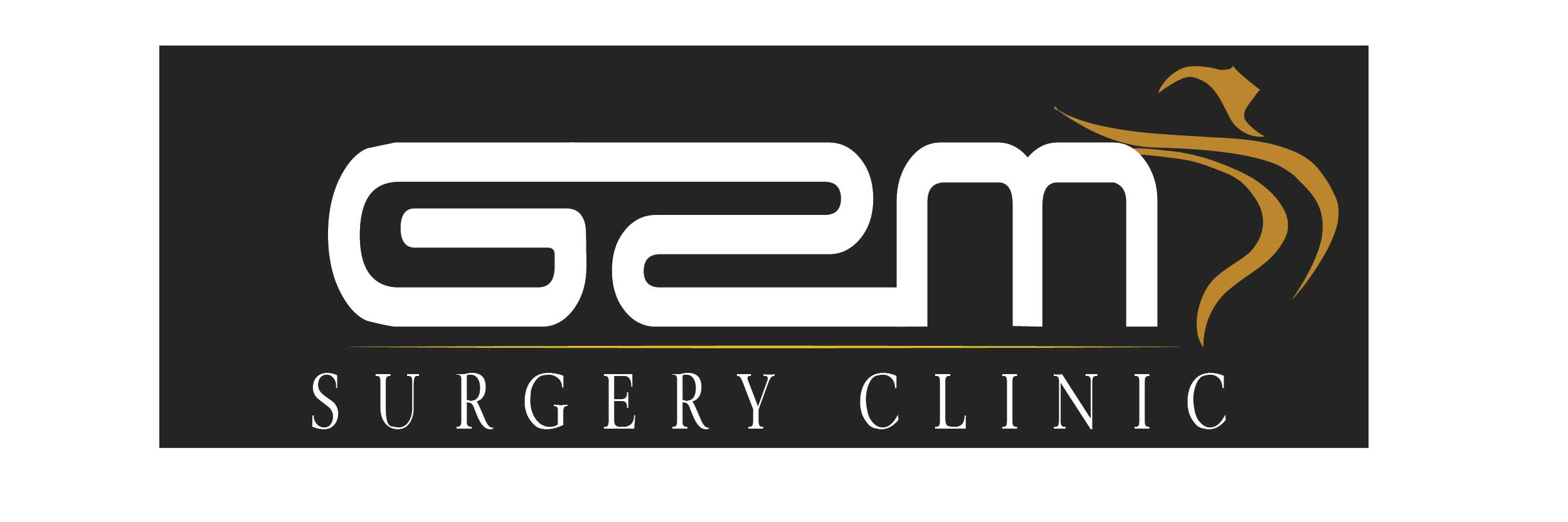 GSM Logo - GSM Clinic Logo. Orca Enterprise Solutions