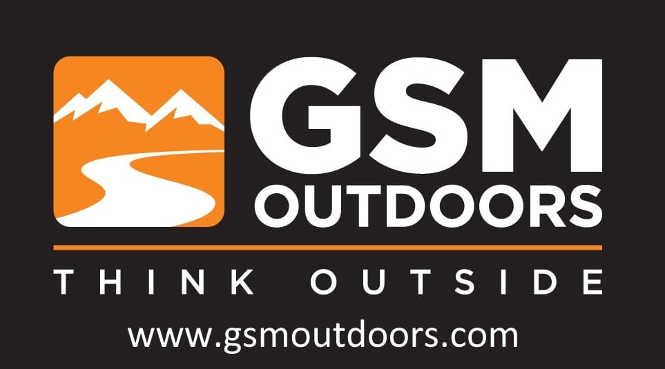 GSM Logo - GSM logo