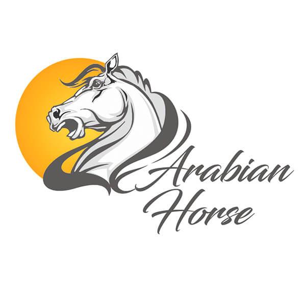 Arabian Logo - Arabian Horse Logo Design | DeDevelopers