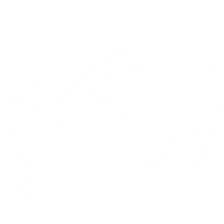 AIA Logo - AIA Group Limited - Pan-Asian Life Insurance Company
