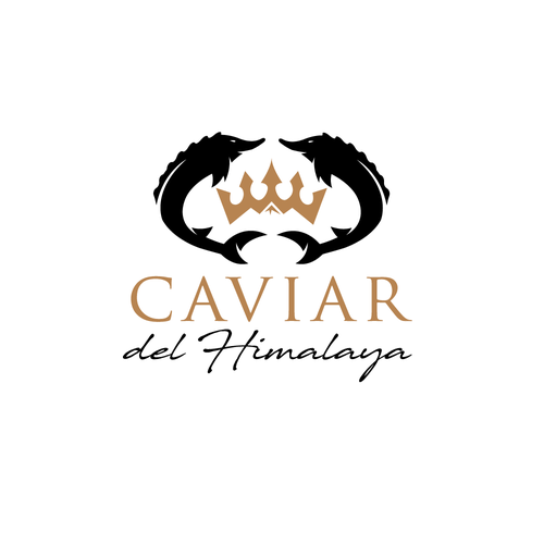 Caviar Logo - Logo for a luxury product such as caviar | Logo design contest