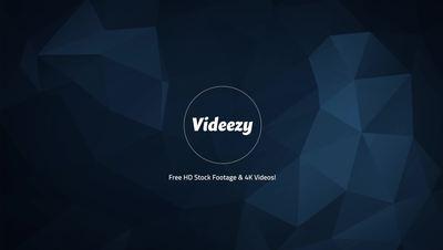 Reveal Logo - Free Logo Reveals Stock Video Footage - (184 Free Downloads)