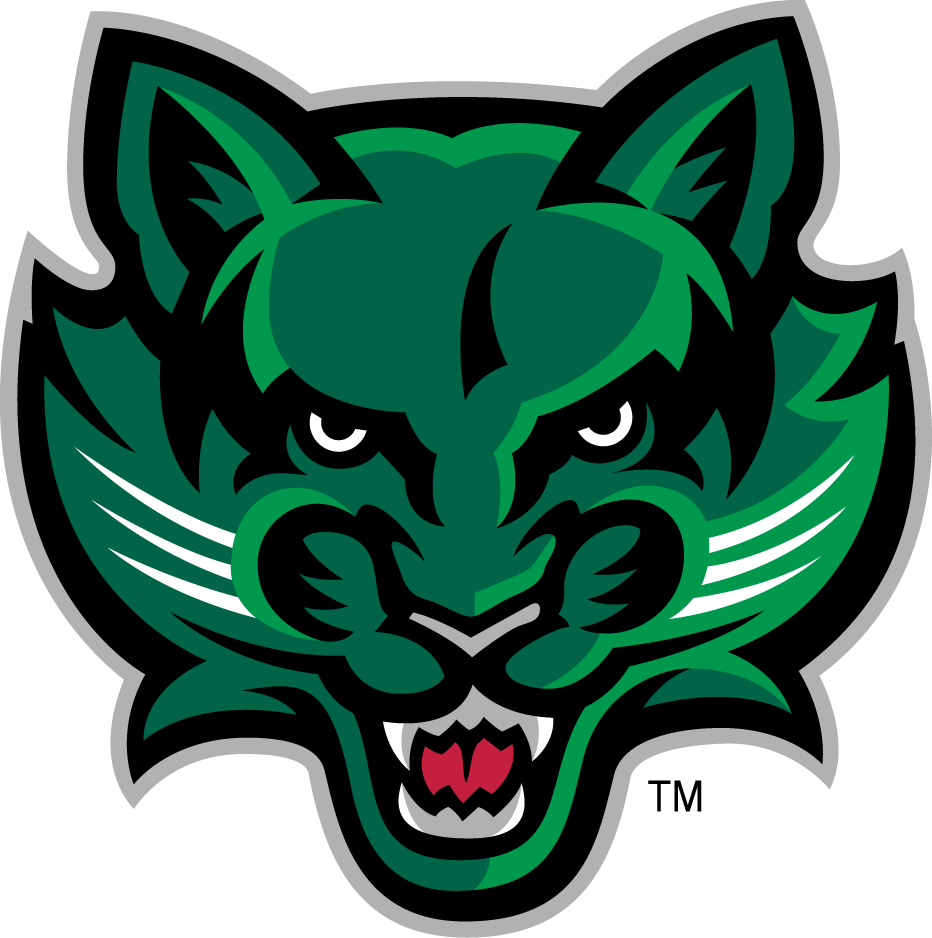 Bearcat Logo - Binghamton Bearcats Secondary Logo - NCAA Division I (a-c) (NCAA a-c ...