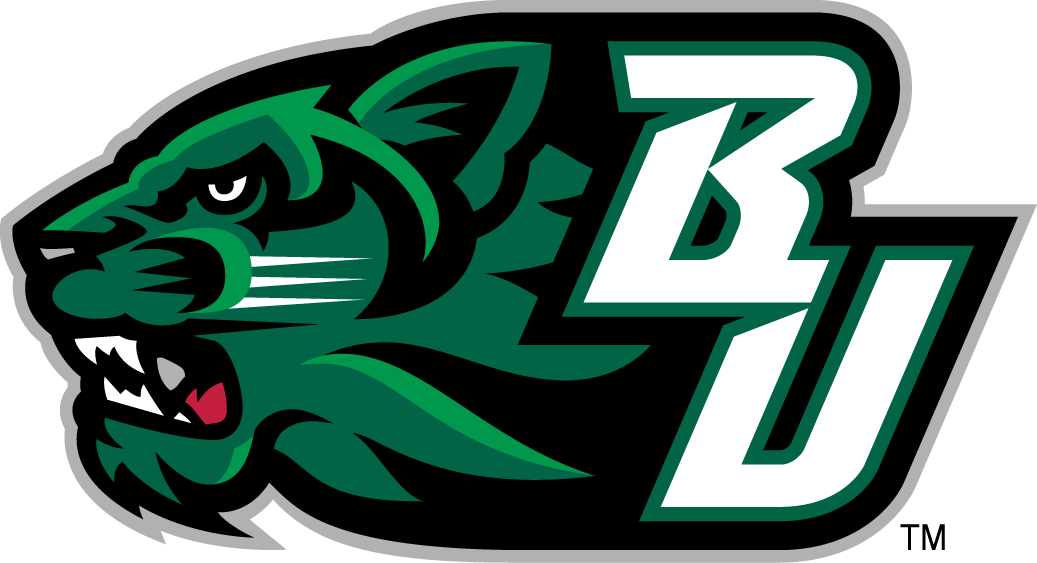 Bearcat Logo - Binghamton Bearcats Secondary Logo Division I (a C) (NCAA A C