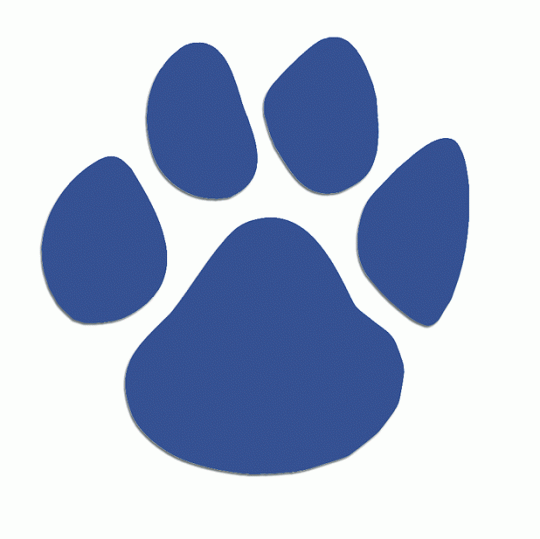 Bearcat Logo - Bearcat logo