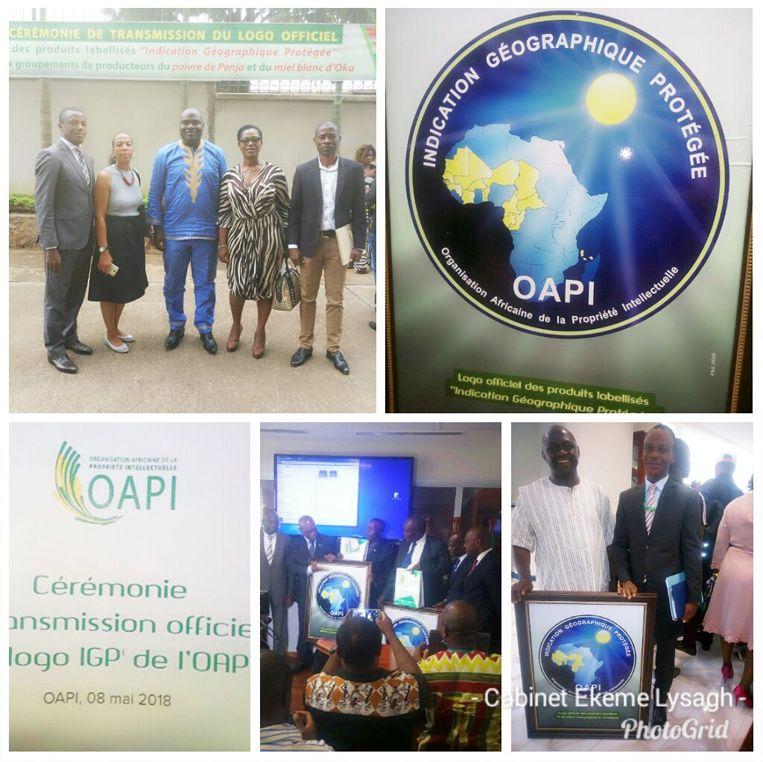 Oapi Logo - Ekeme Lysaght SARL Intellectual Property Specialists