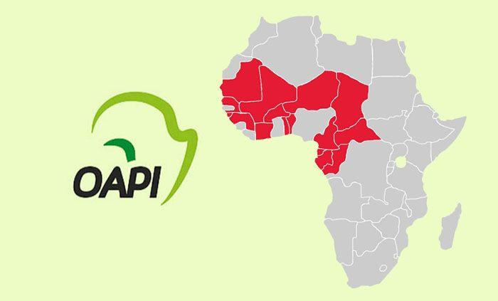 Oapi Logo - OAPI: Patent Applications. Smit & Van Wyk, Inc