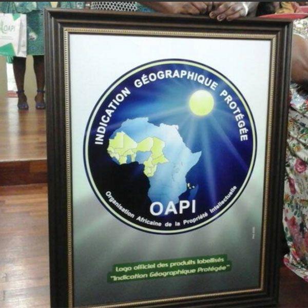 Oapi Logo - OAPI: Un logo pour estampiller deux produits camerounais :: CAMEROON