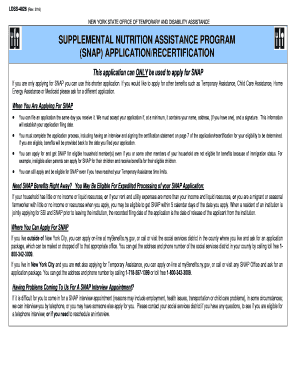 OTDA Logo - Get And Sign SNAP Benefits Application - LDSS-4826 - Otda Ny Form ...