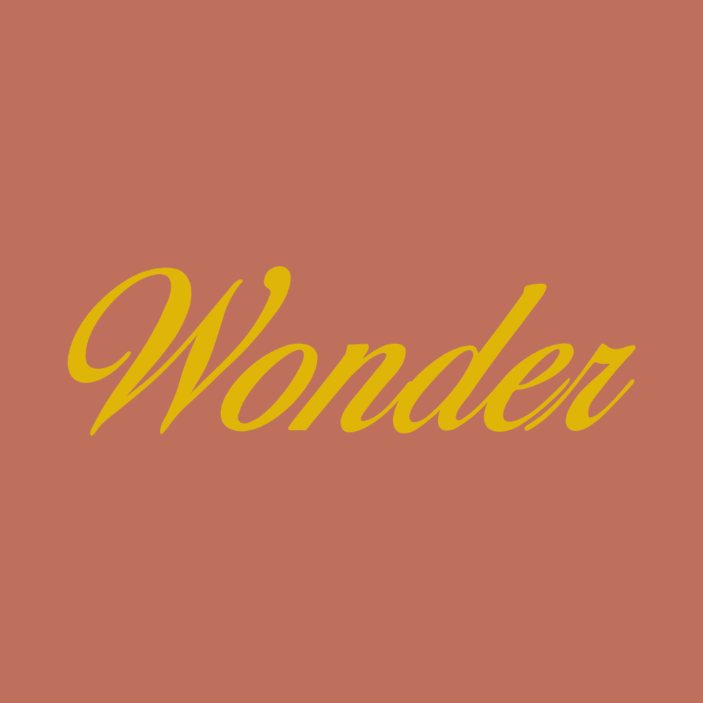 Haley Logo - Wonder — Haley Sheffield