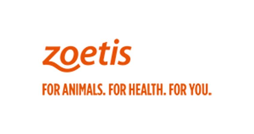 Zoetis Logo - Zoetis-Logo - Hardaway Veterinary Hospital - Belgrade, Montana