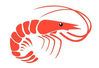 Prawn Logo - Shrimp Vector Photo, Royalty Free Image, Graphics, Vectors