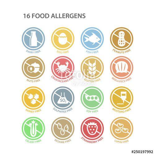 Allergen Logo - Allergens free circle colorful ingredients label set. Soy free ...