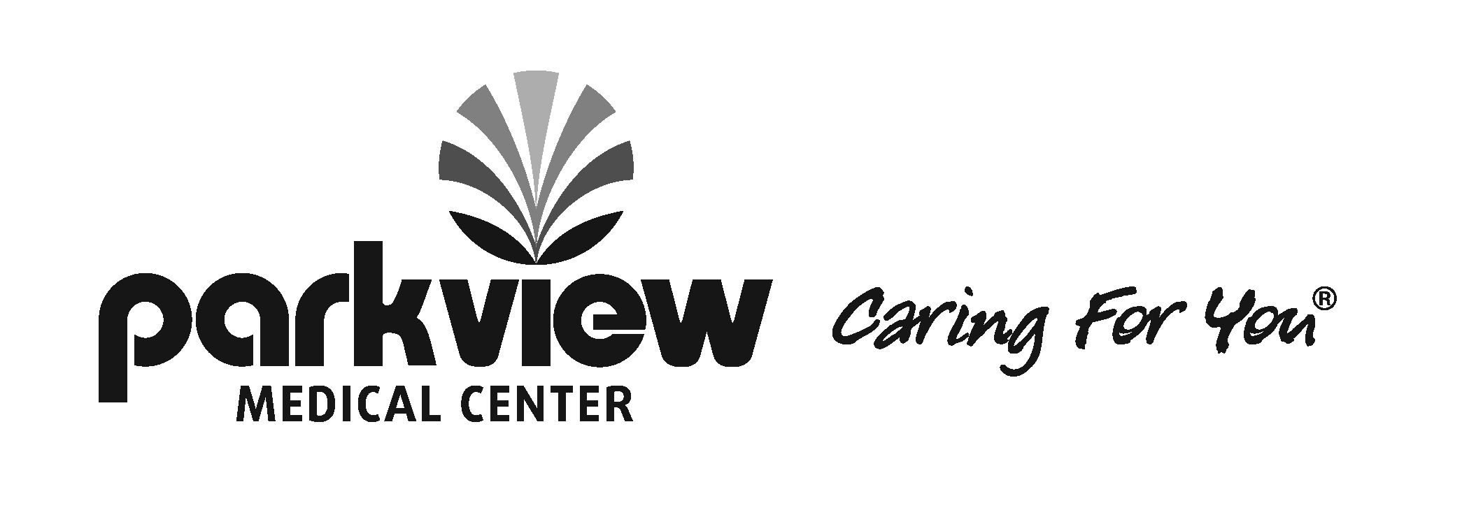 Parkview Logo - Logo Usage & Brand Standards Medical Center