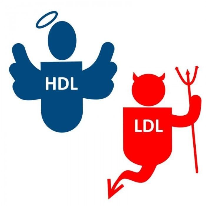 Cholesterol Logo - the difference between HDL and LDL Cholesterol: HDL is the 'good ...