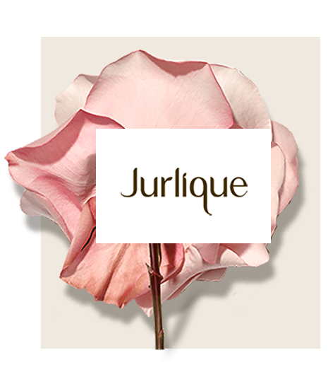 Jurlique Logo - Jurlique - I Concept Digital