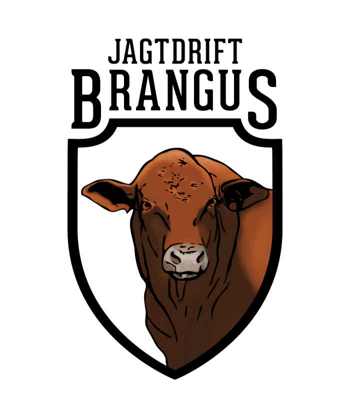 Brangus Logo - Jagtdrift Brangus by Thando Tk Tshabalala at Coroflot.com