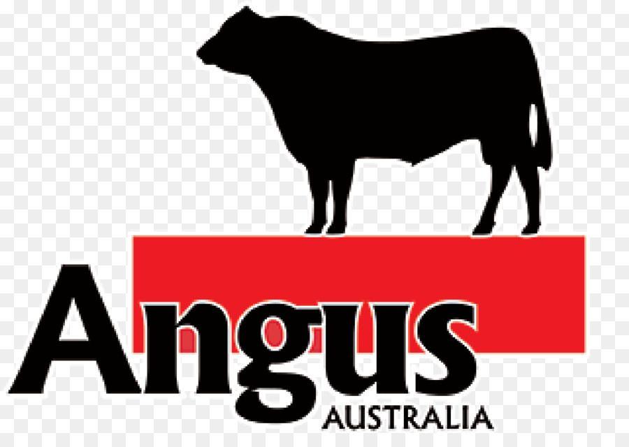 Brangus Logo - Angus Cattle Logo png download - 1338*922 - Free Transparent Angus ...