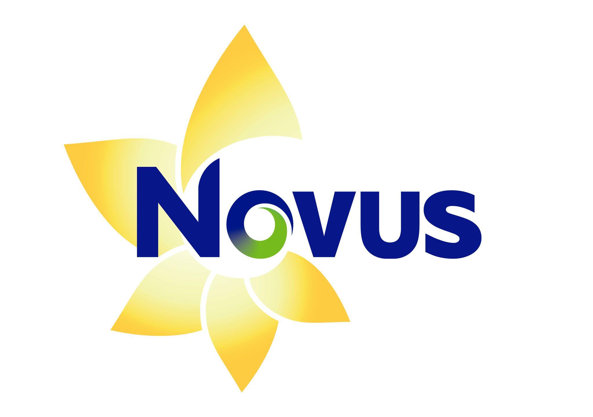 Novus Logo - New Logo Design - Novus Landscape - Strange Bird Designs