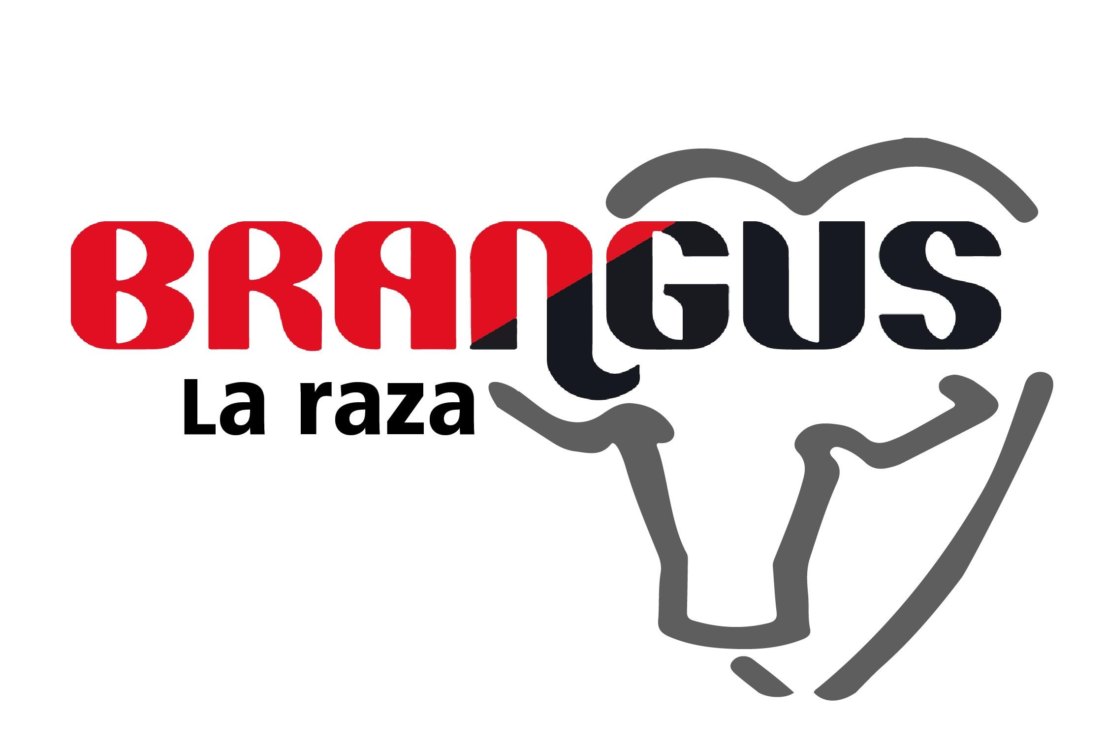 Brangus Logo - brangus logoía Rural Paraguay