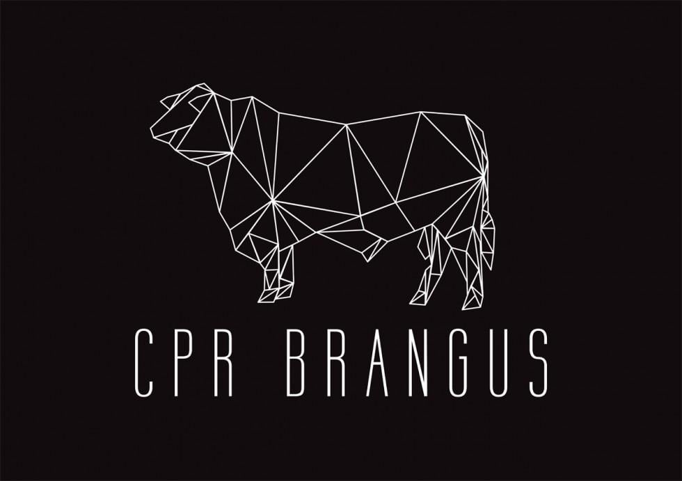 Brangus Logo - CPR Brangus Logo | Rural Design Studio