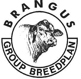 Brangus Logo - BREEDPLAN